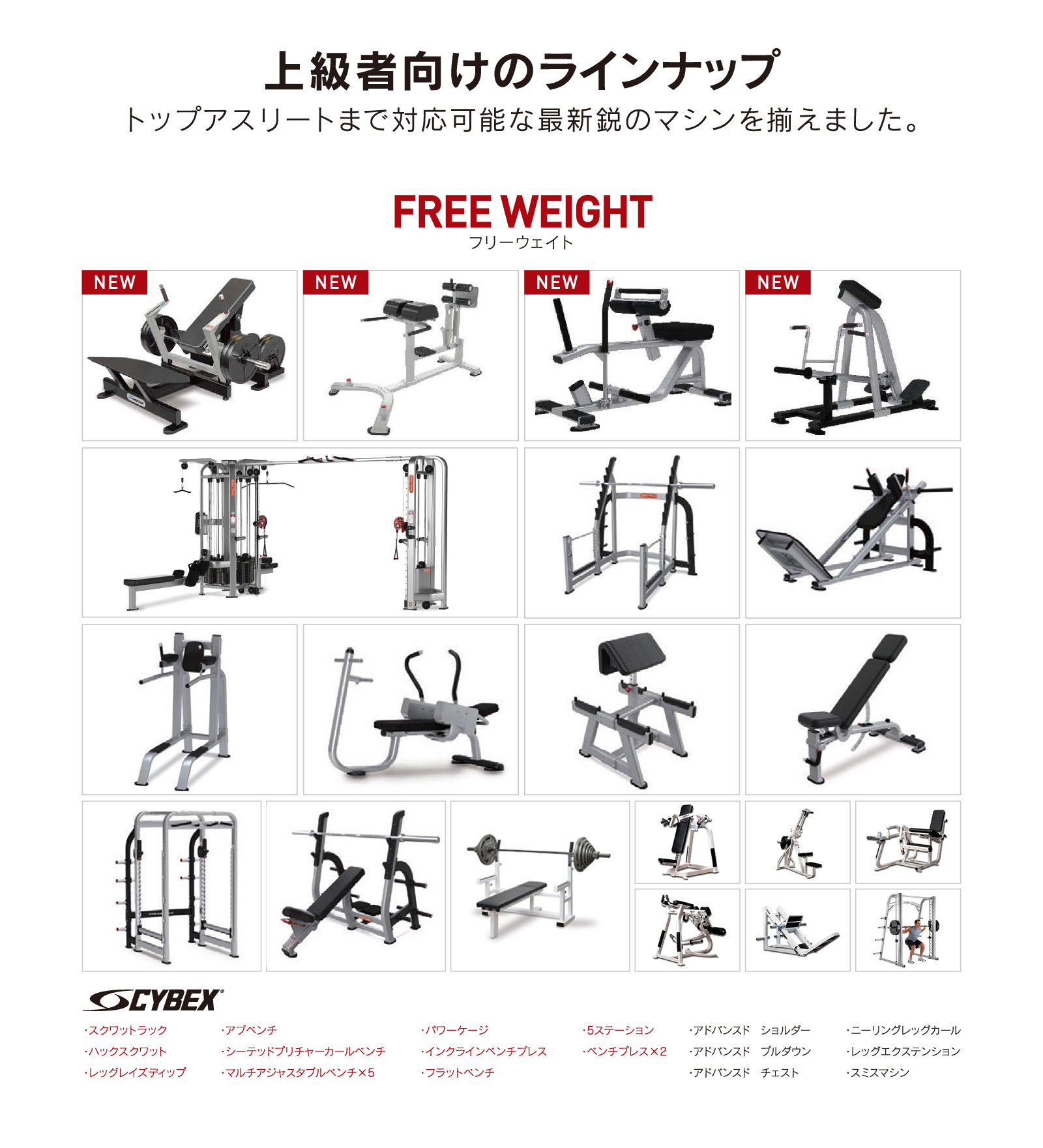 上級者向けのラインナップ トップアスリートまで対応可能な最新鋭のマシンを揃えました。