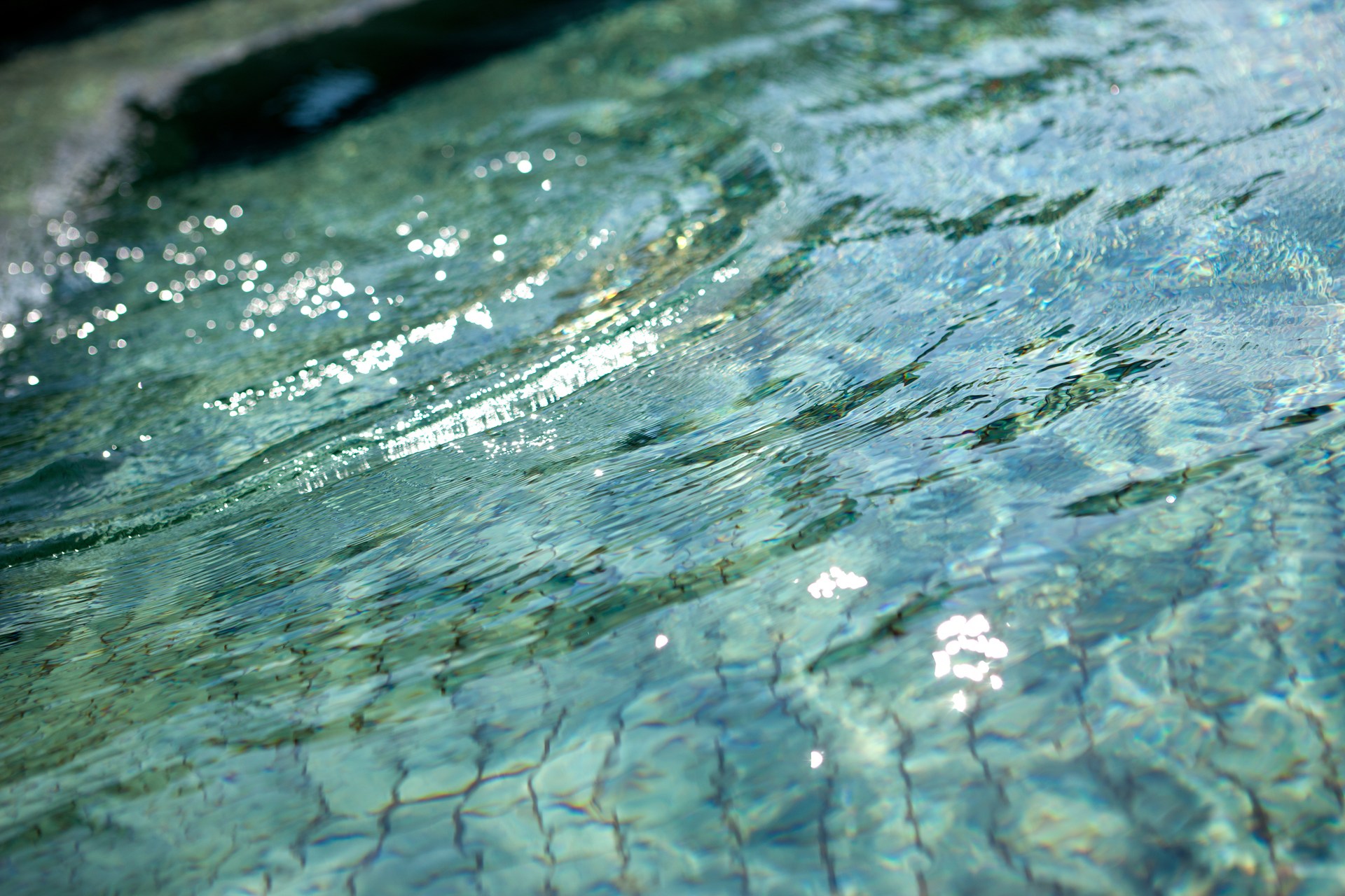 癒やしの水風呂
